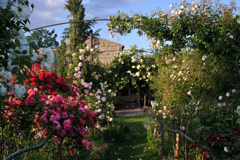 Locanda Ilune Pitigliano Luaran gambar