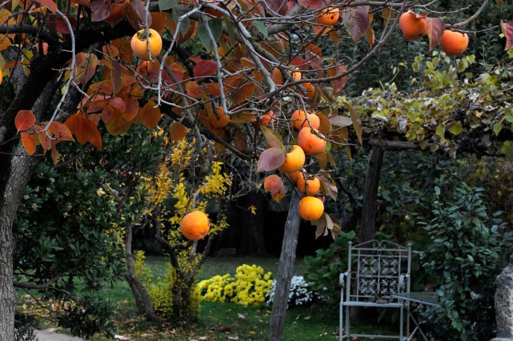 Locanda Ilune Pitigliano Luaran gambar
