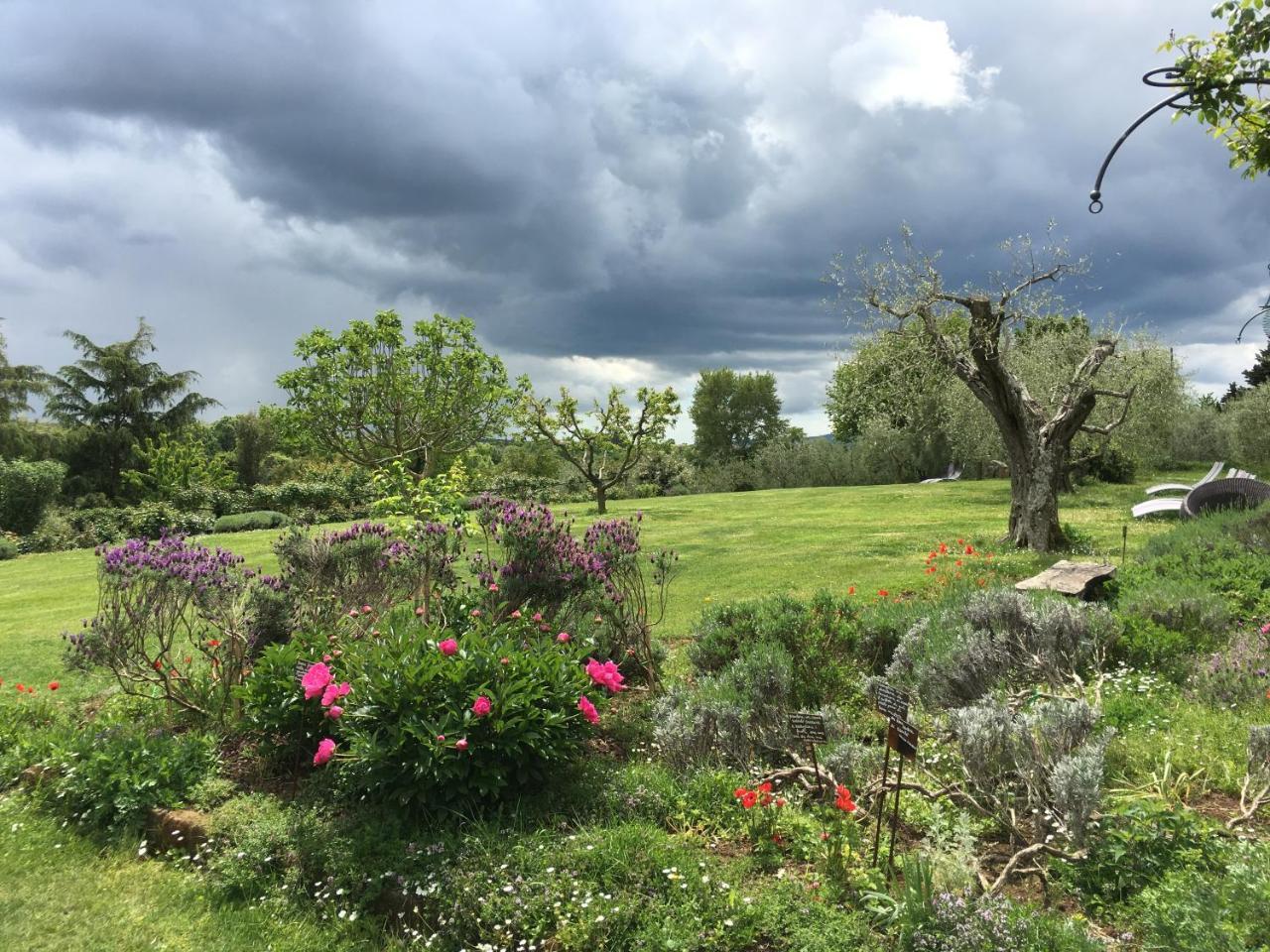 Locanda Ilune Pitigliano Luaran gambar
