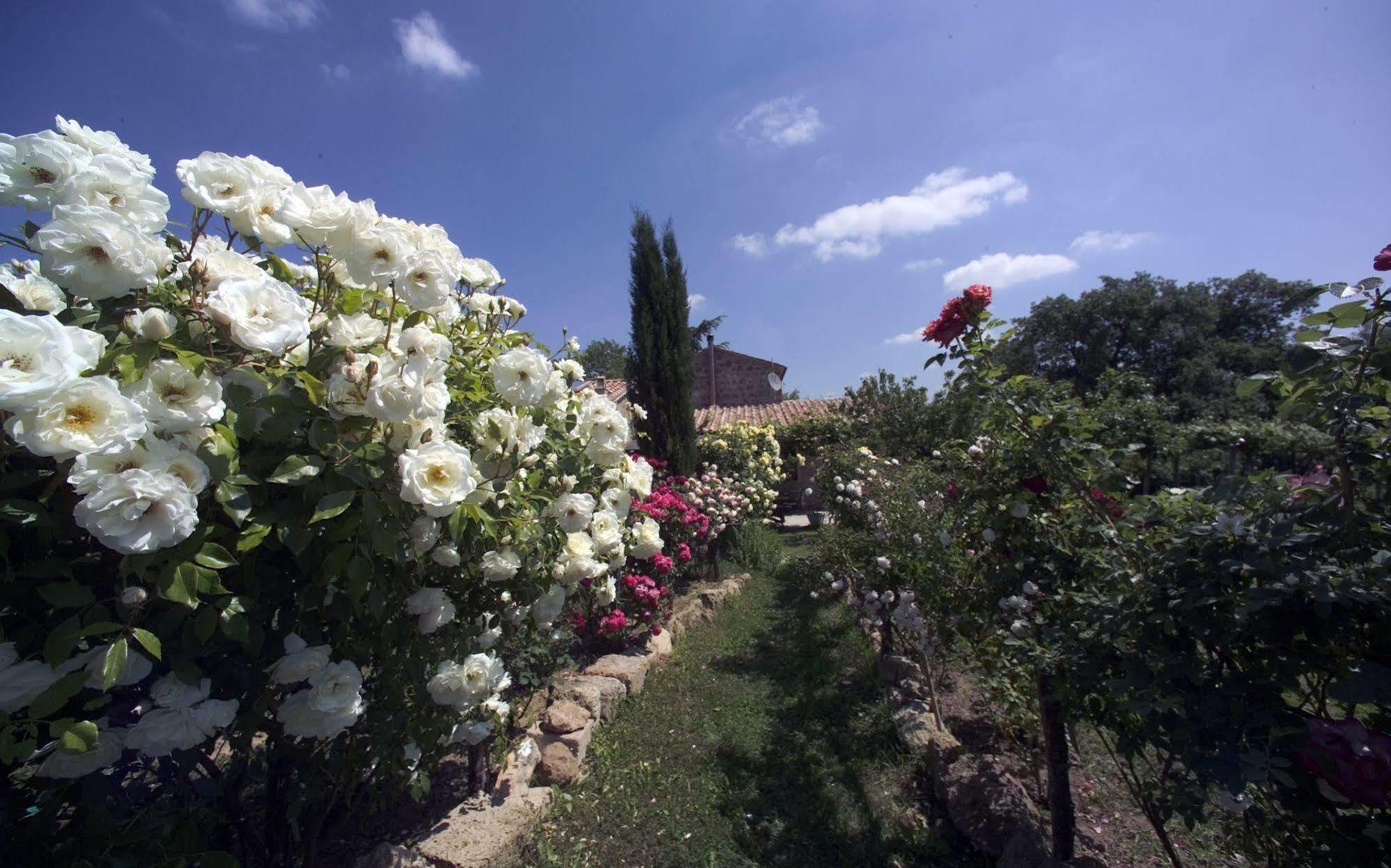 Locanda Ilune Pitigliano Luaran gambar